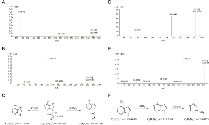 FIGURE 3