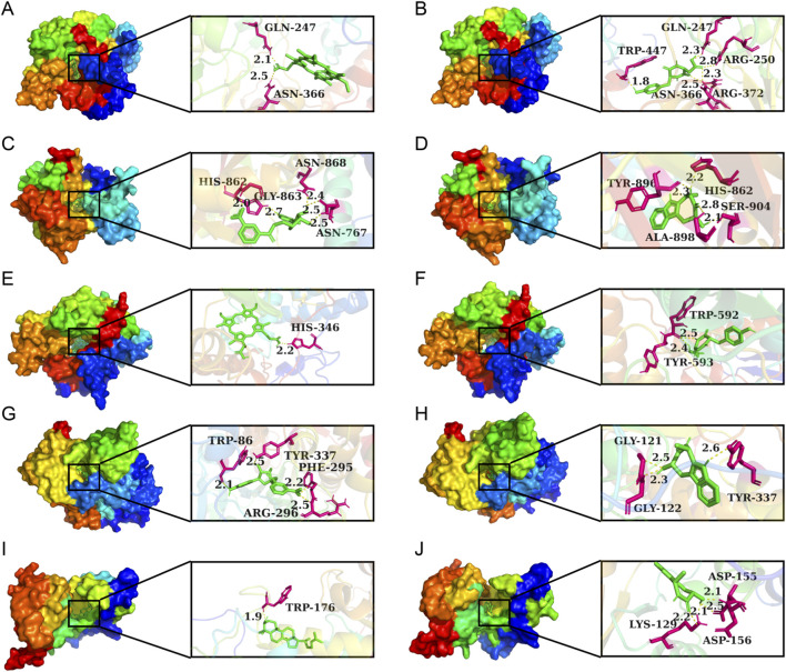 FIGURE 15
