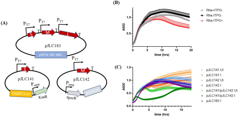 Figure 6