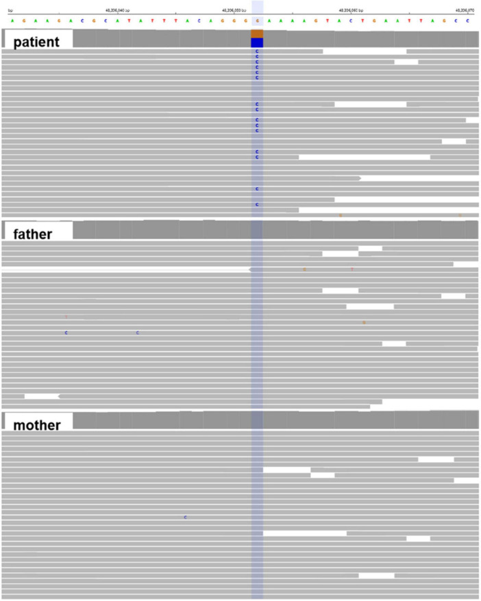 FIGURE 3