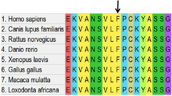 FIGURE 4