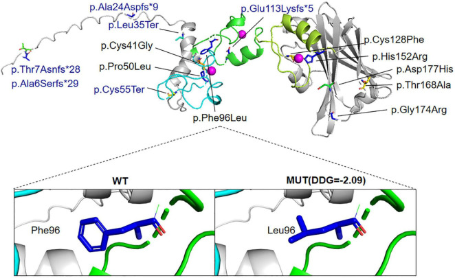 FIGURE 6