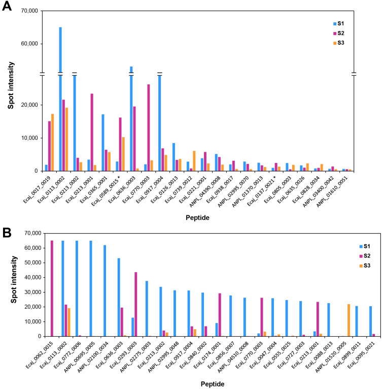 Figure 2
