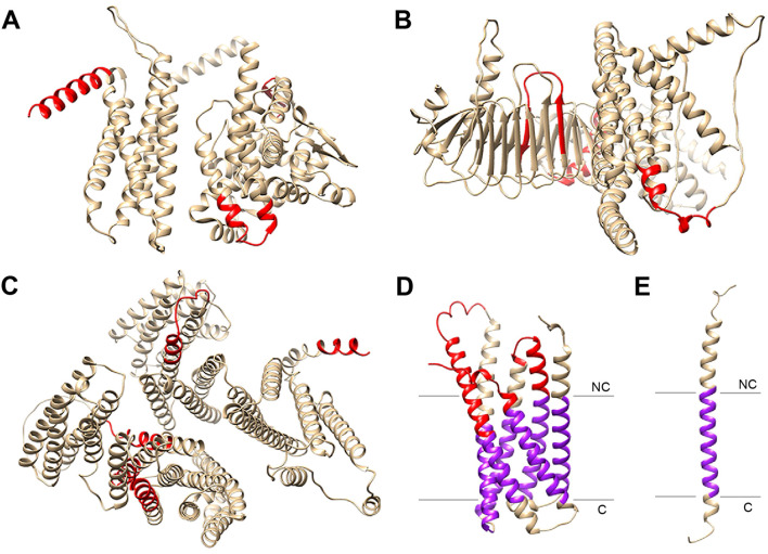 Figure 3