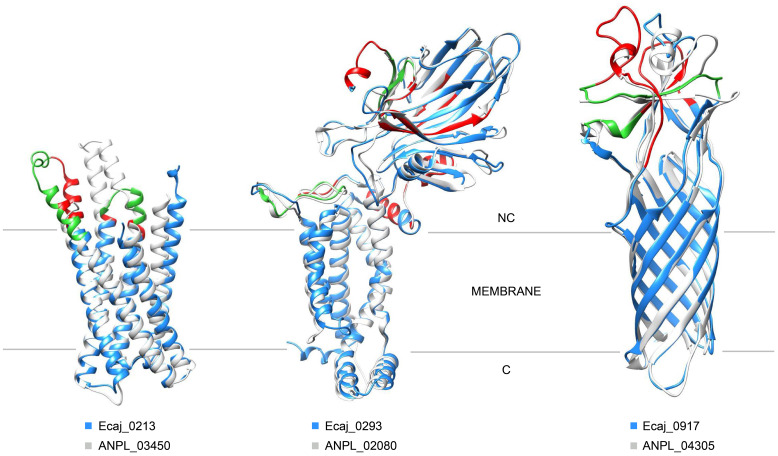 Figure 6