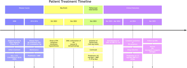 Figure 1