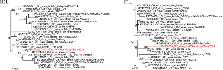 Figure 2