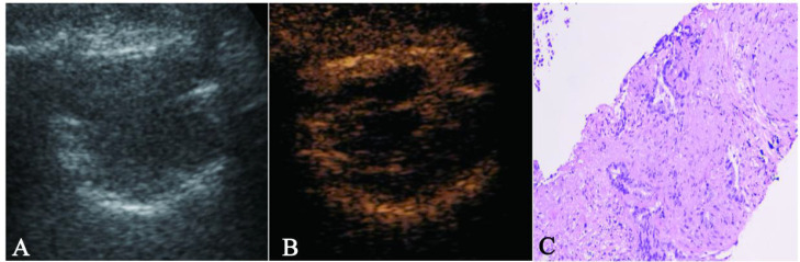 Figure 4