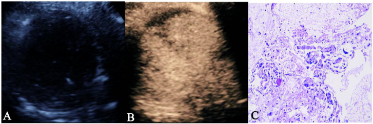 Figure 5