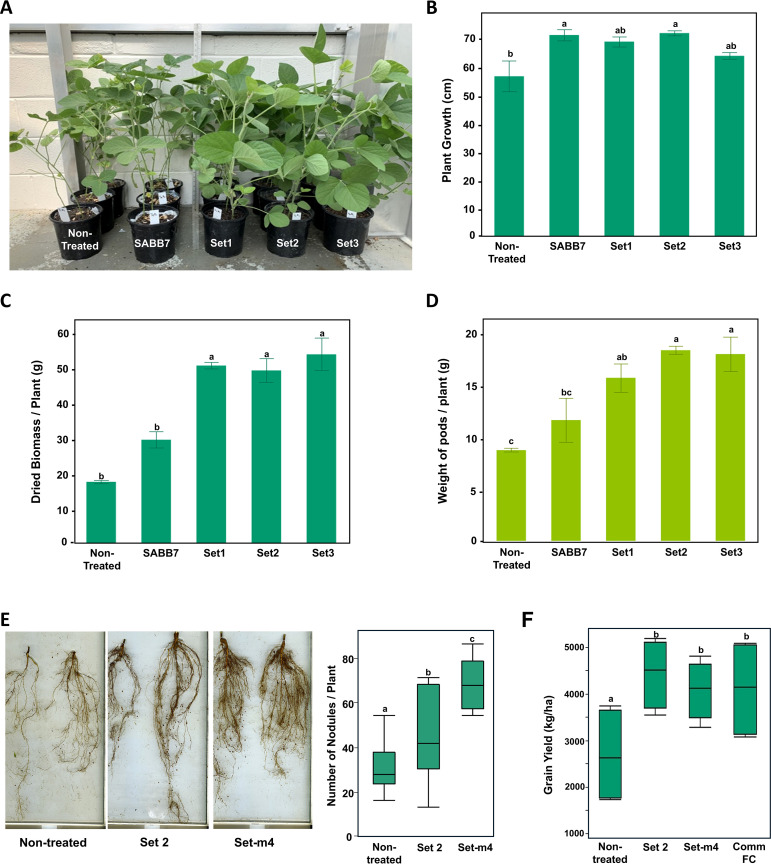 Figure 2