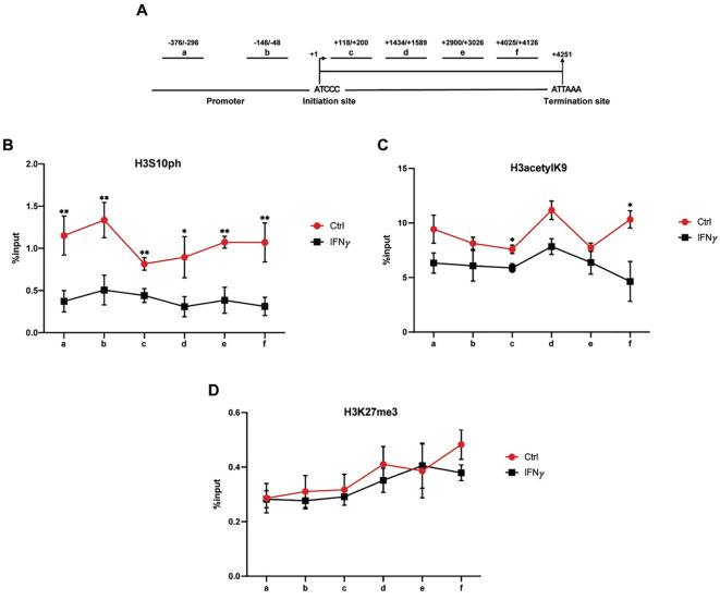 Figure 3