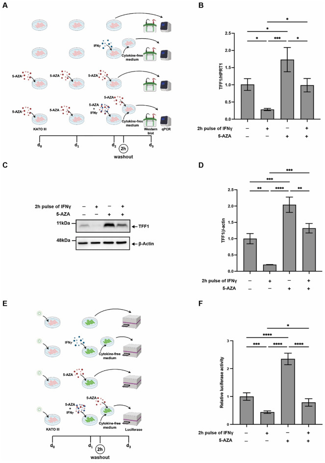 Figure 4