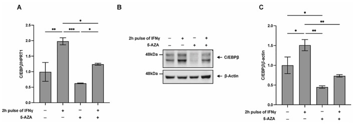 Figure 5