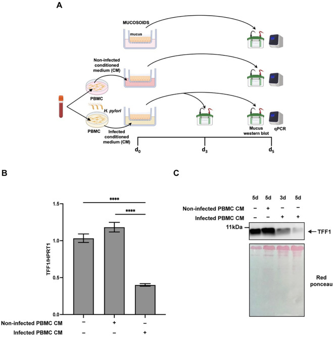 Figure 7