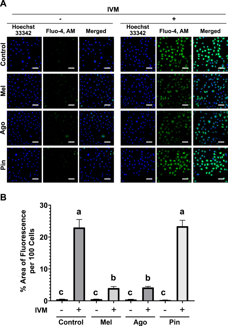 FIGURE 3