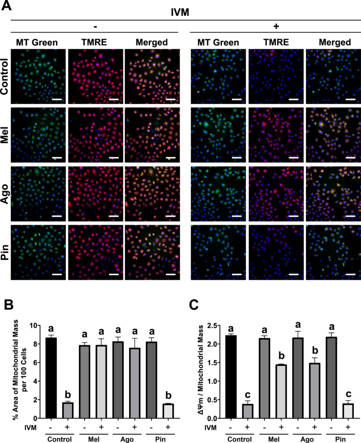 FIGURE 4