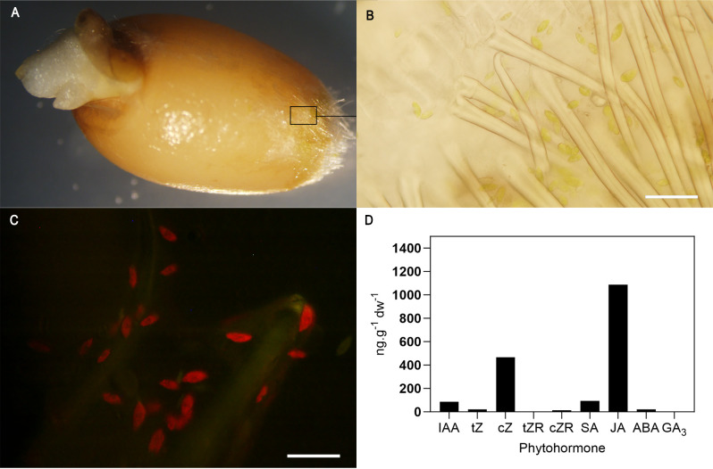 Figure 2