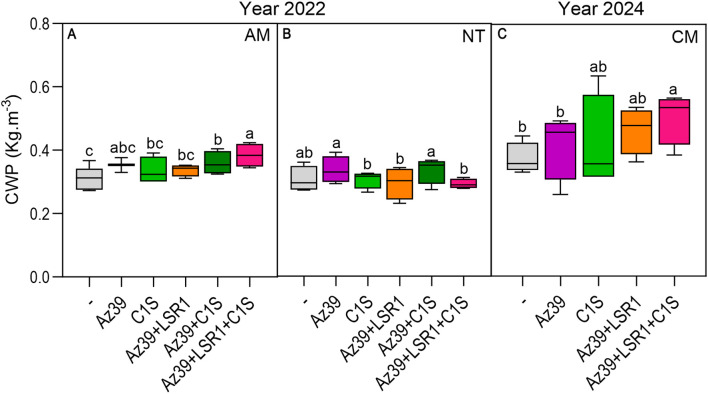 Figure 4