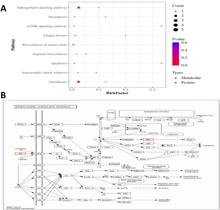 Figure 3