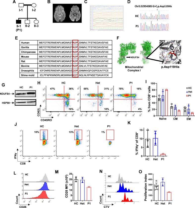 Figure 6