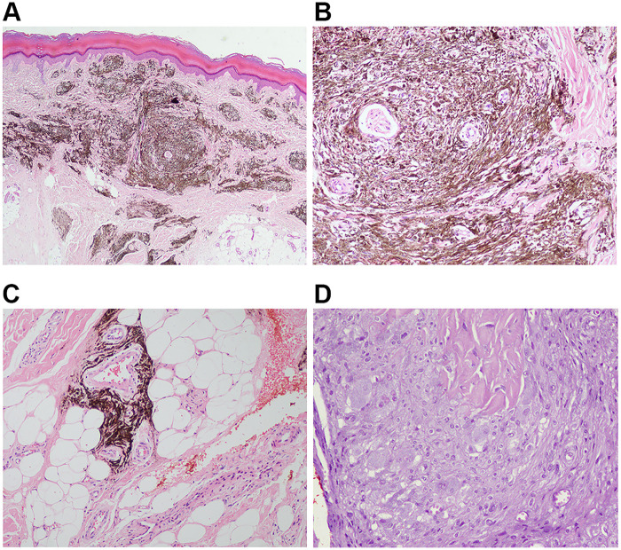 Figure 2