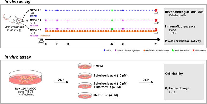 FIGURE 1