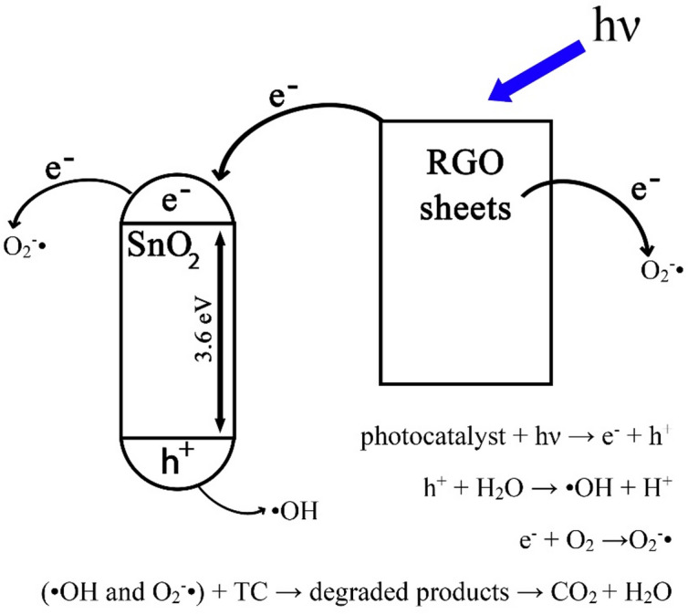 Figure 14