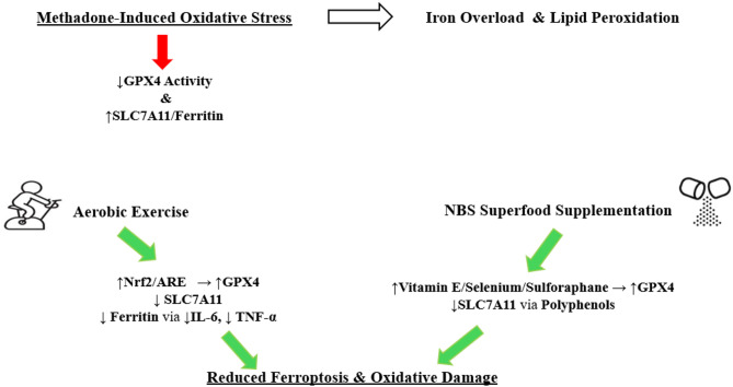 Figure 6