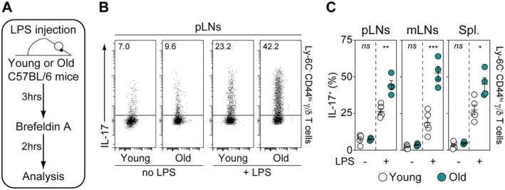 FIGURE 3