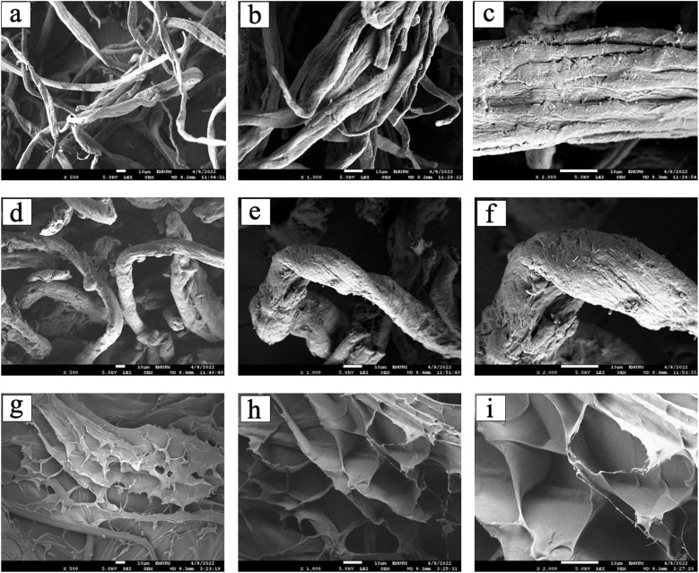 Fig. 11