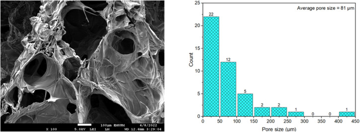 Fig. 12