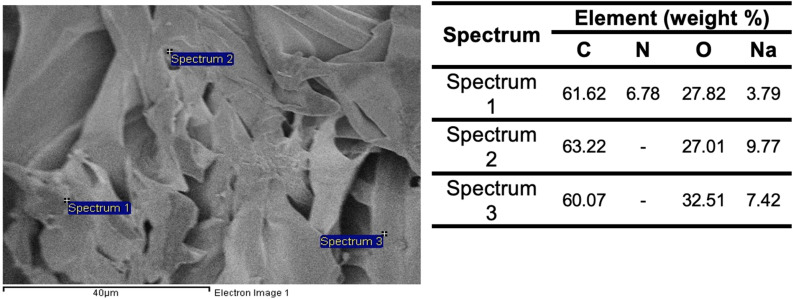 Fig. 13