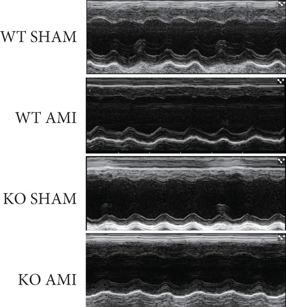 Figure 19