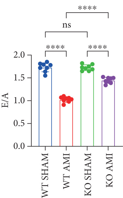 Figure 21