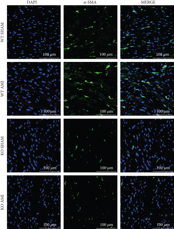 Figure 24