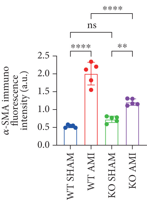 Figure 25