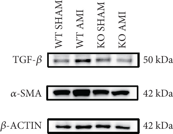 Figure 26