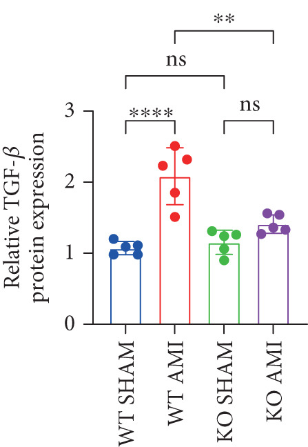 Figure 27