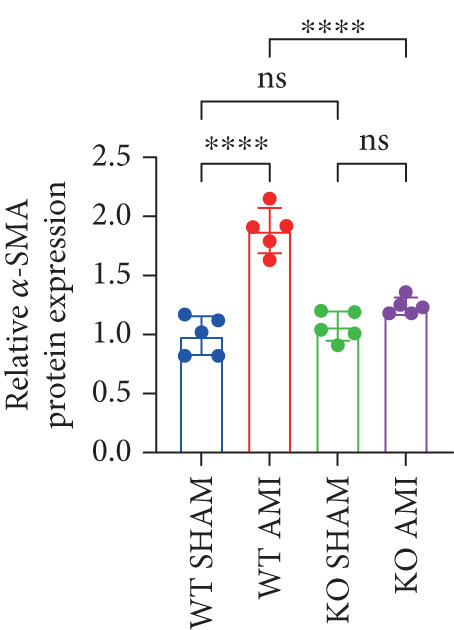 Figure 28