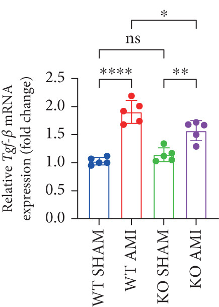 Figure 30