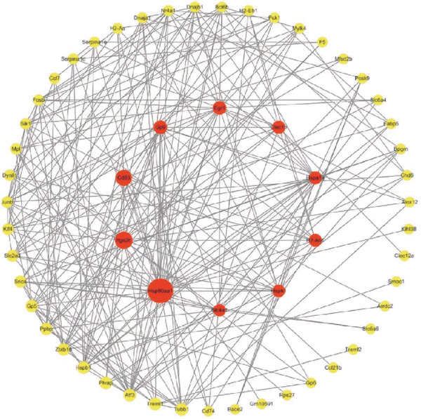 Figure 35