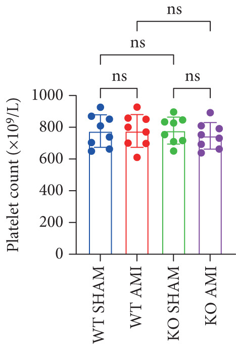 Figure 37