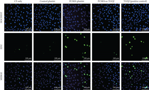 Figure 48