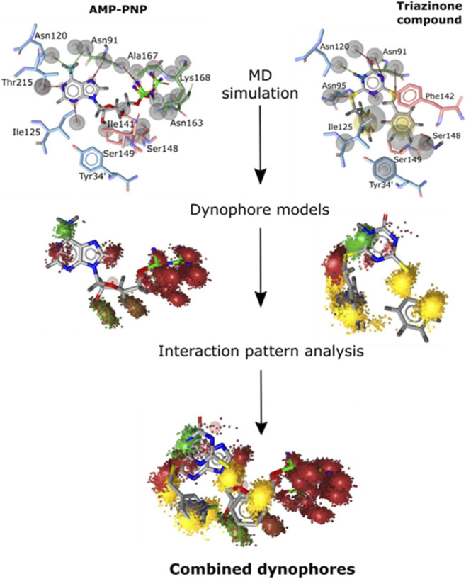 FIGURE 1