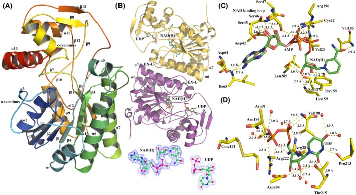Fig. 2