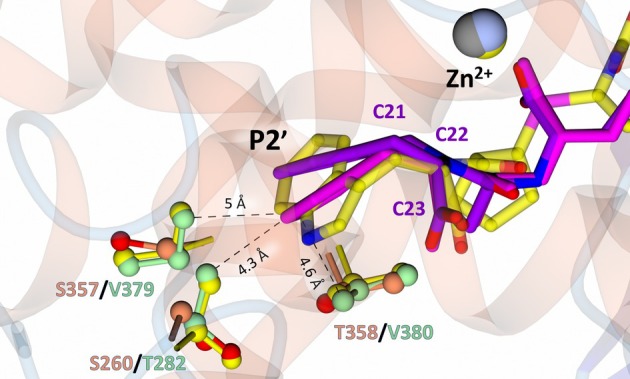 Fig. 8