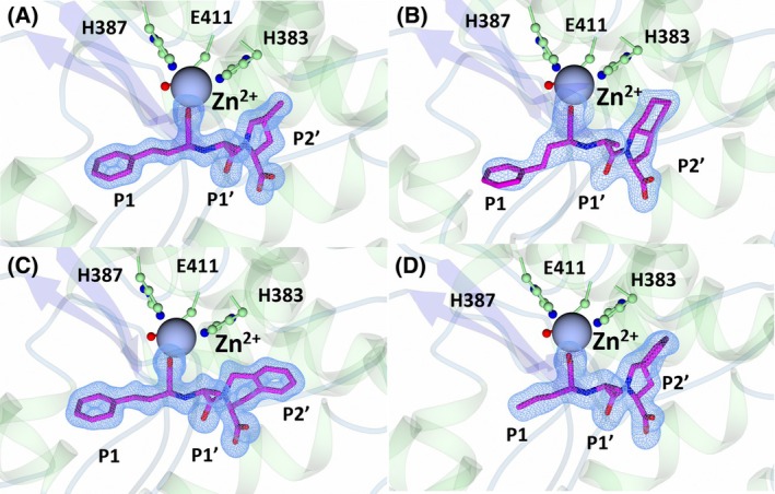 Fig. 3
