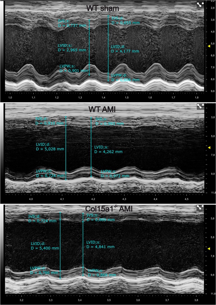 Fig. 9