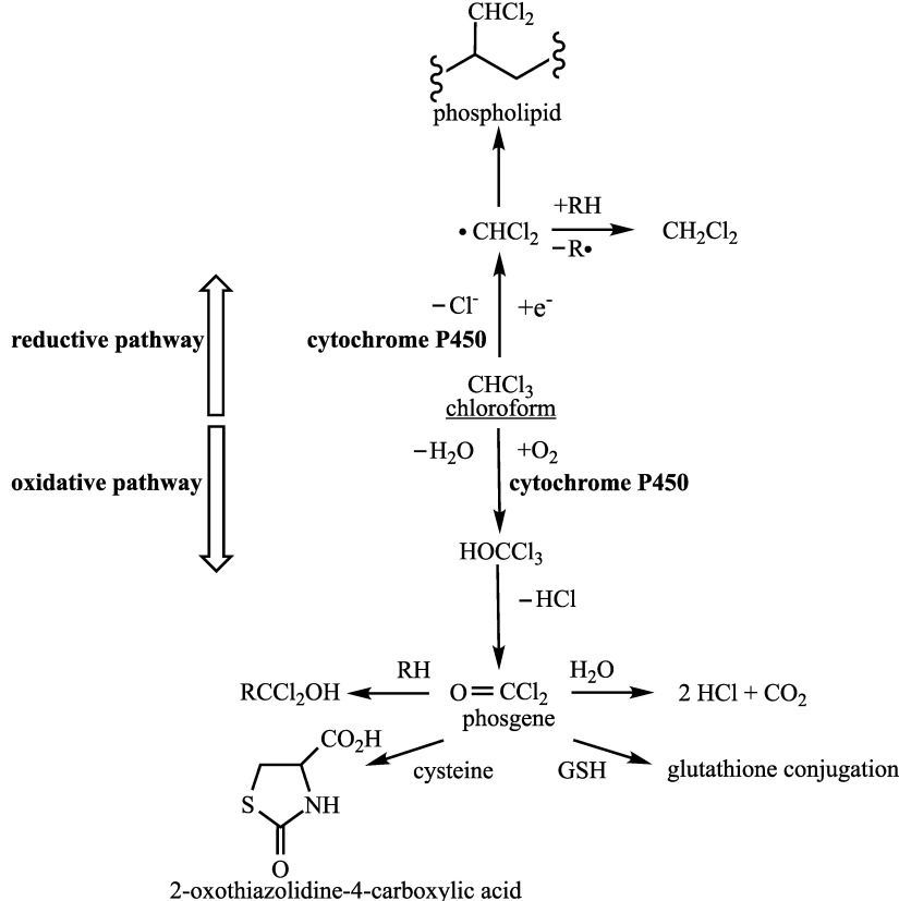 Fig.1