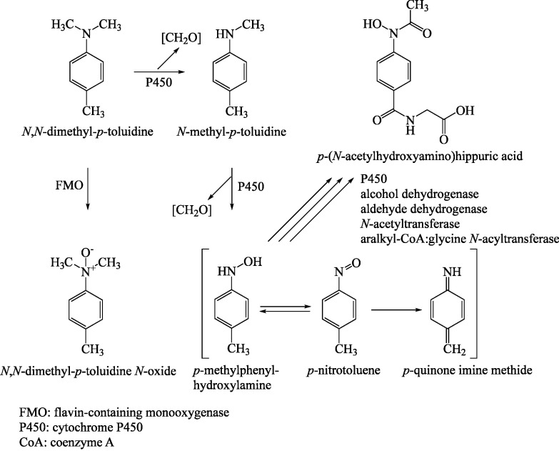 Fig.2
